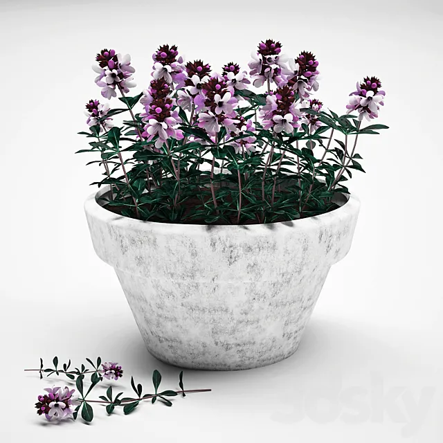Flowers in a pot 3DSMax File