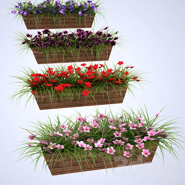 Flowers in boxes mounted 3DS Max Model