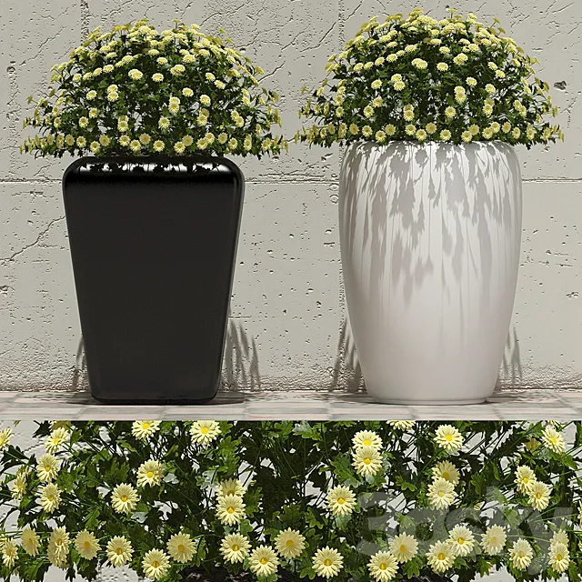 Flowers in pots 1 3ds Max