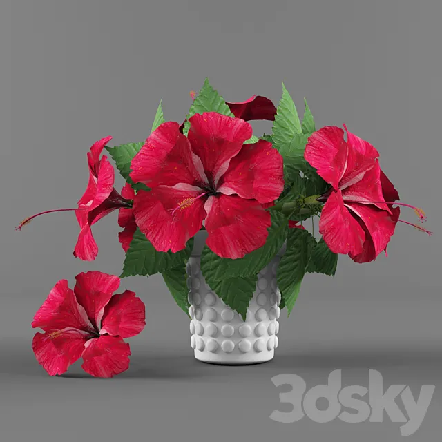 Flowers vase and Hibiscus 3DS Max Model