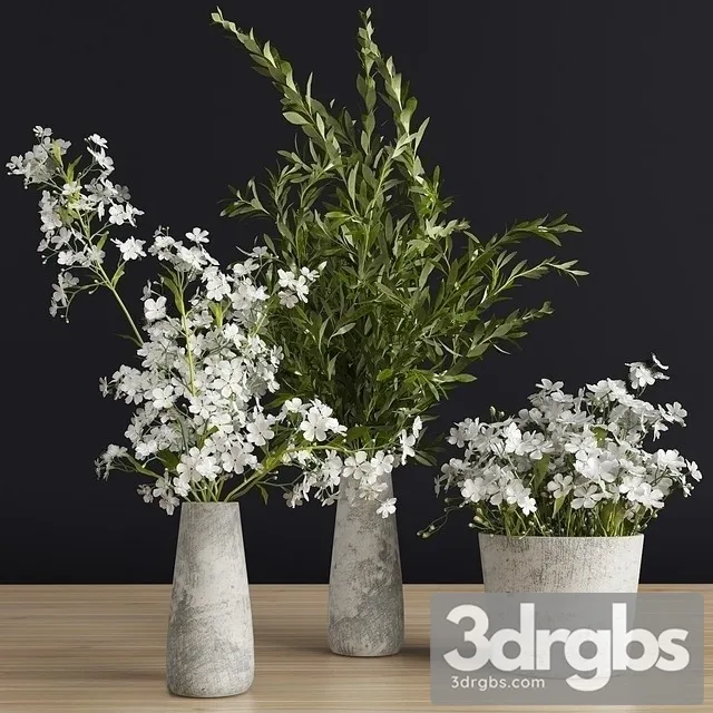 Flowers Vase Set 3 3dsmax Download