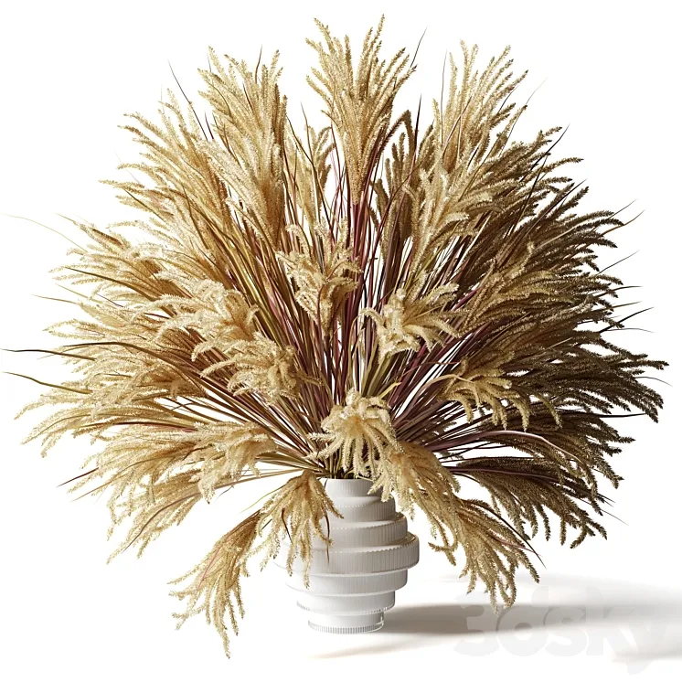 Fluffy bouquet of dry grass with tails in a glass white vase 3DS Max