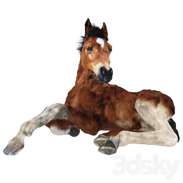 Foal 3ds Max