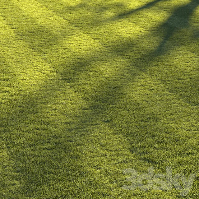 Football pitch lawn 3DS Max Model