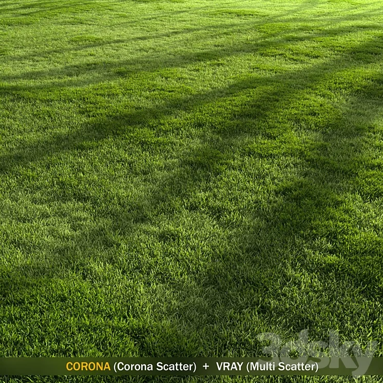 Forest Grass 2 3DS Max Model