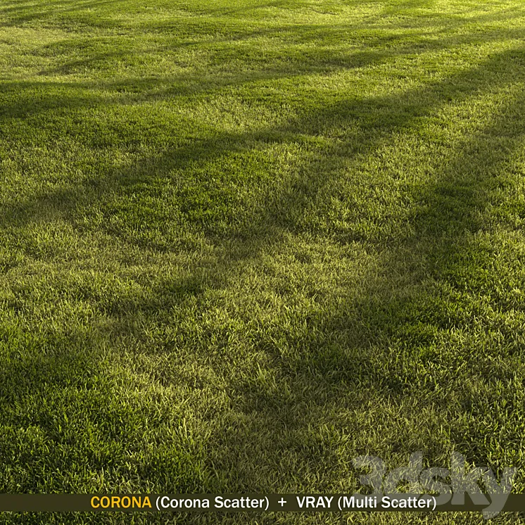 Forest grass 3DS Max Model