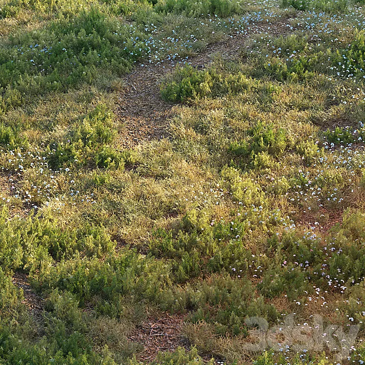 Forest grass 3DS Max