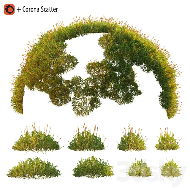 Forest Moss 2 3ds Max