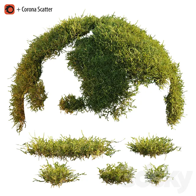 Forest moss 3DS Max Model