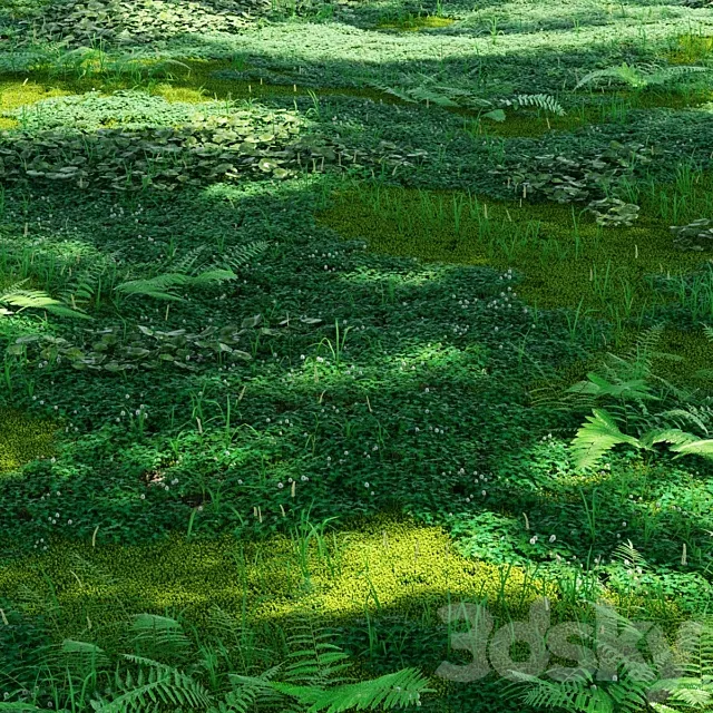 Forest plants 3ds Max