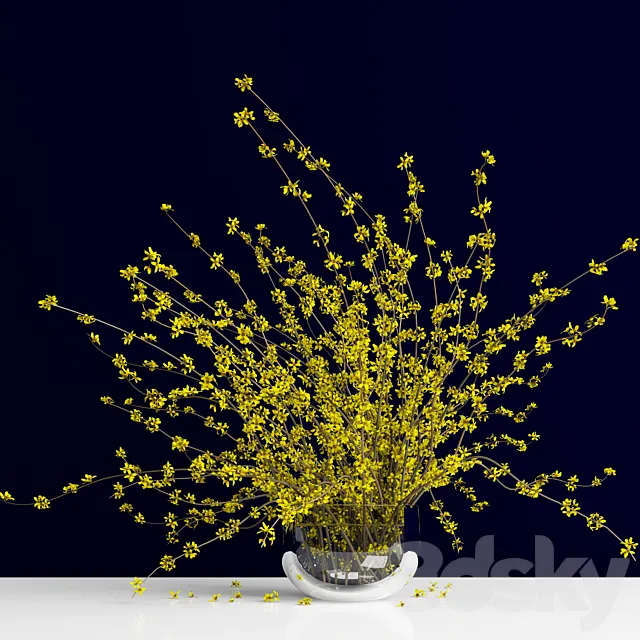 Forsythia _ Forsythia 3ds Max