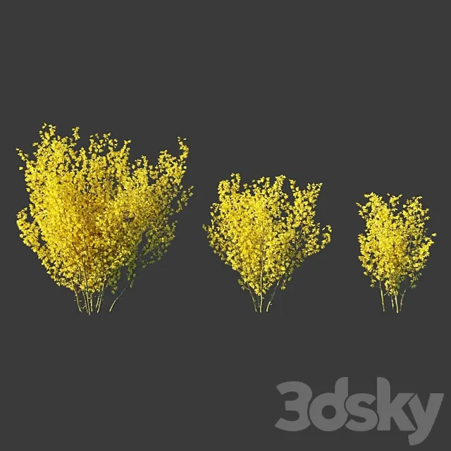 Forsythia Medium _ Forsythia intermedia 3DS Max Model