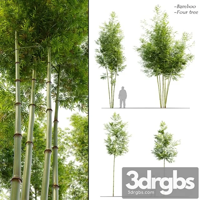 Four Bamboo Tree 3dsmax Download