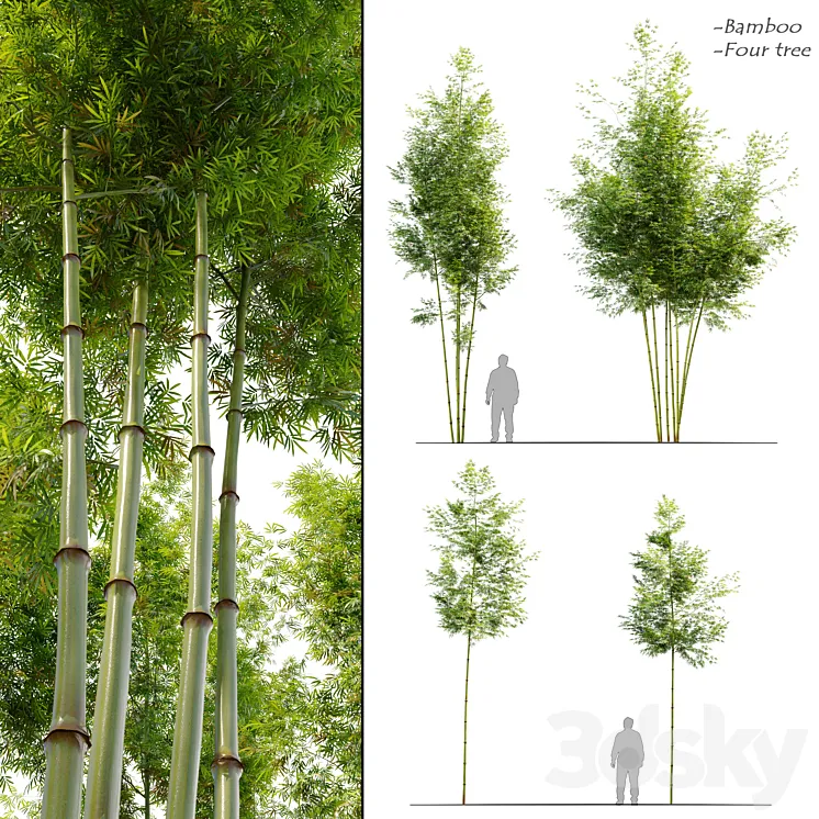 Four bamboo tree 3DS Max Model