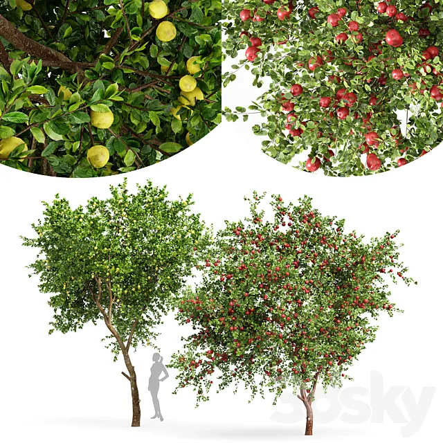 fruit trees lemon and apple 3ds Max