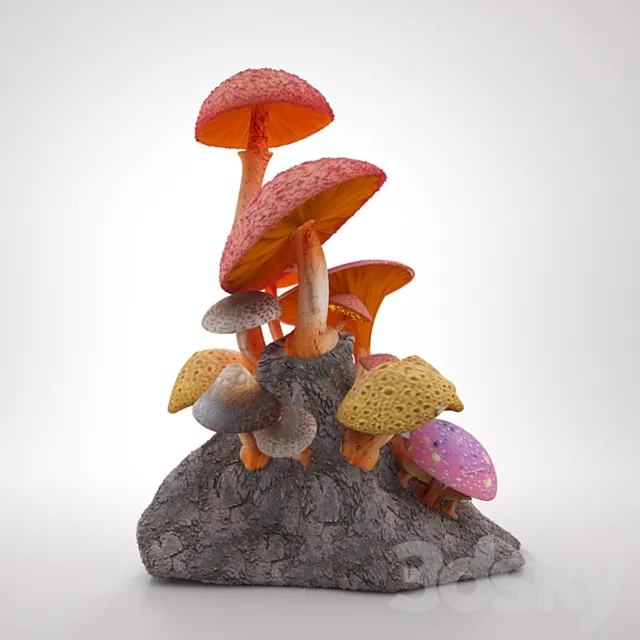 fungus 3DS Max Model