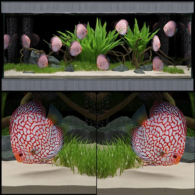 furniture – Aquarium 14 3ds Max