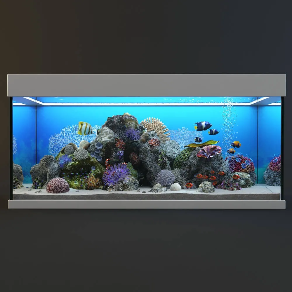 furniture – Aquarium 2 3ds Max