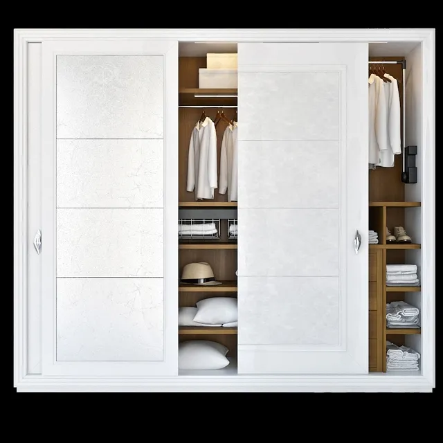 furniture – Laccato wardrobe 3ds Max