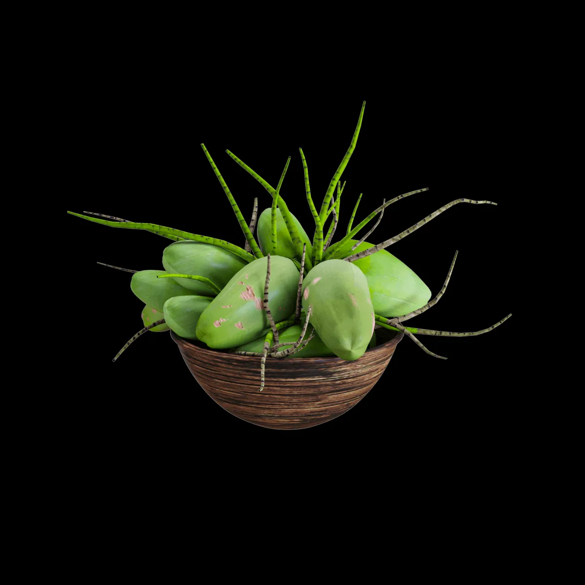 furniture – Set of coconut 3ds Max