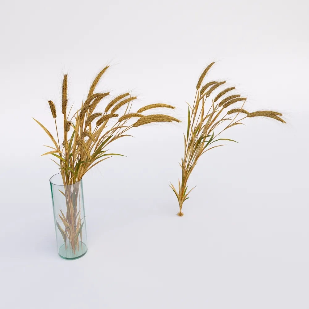 furniture – Wheat 57 3ds Max