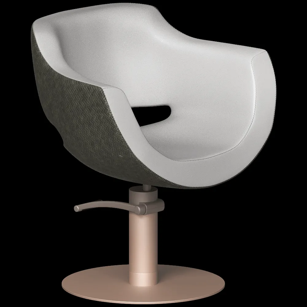 GAMMA & BROSS  – Salon chair QL 3ds Max