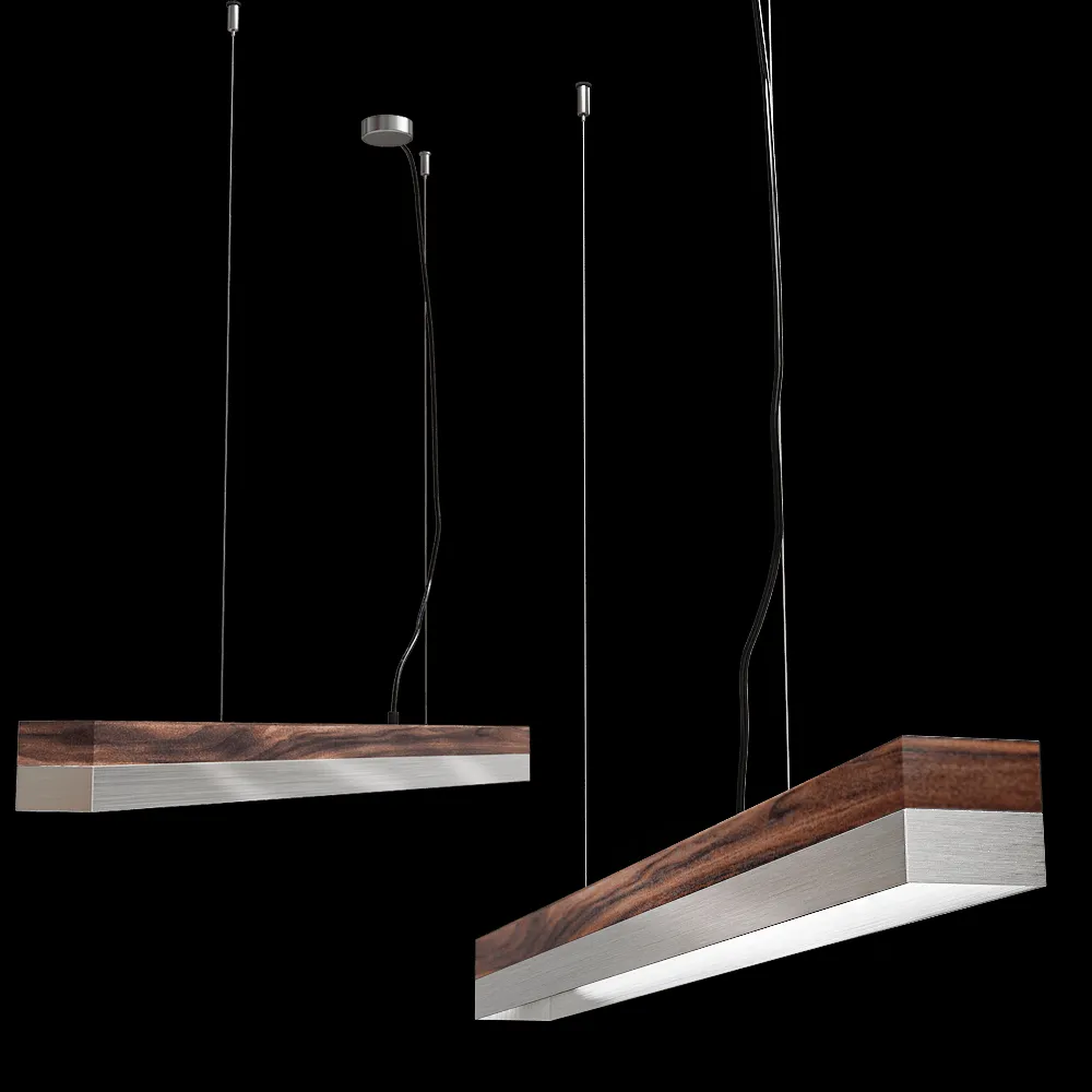 GANTlights – [C-2]stainless pendant light 3ds Max