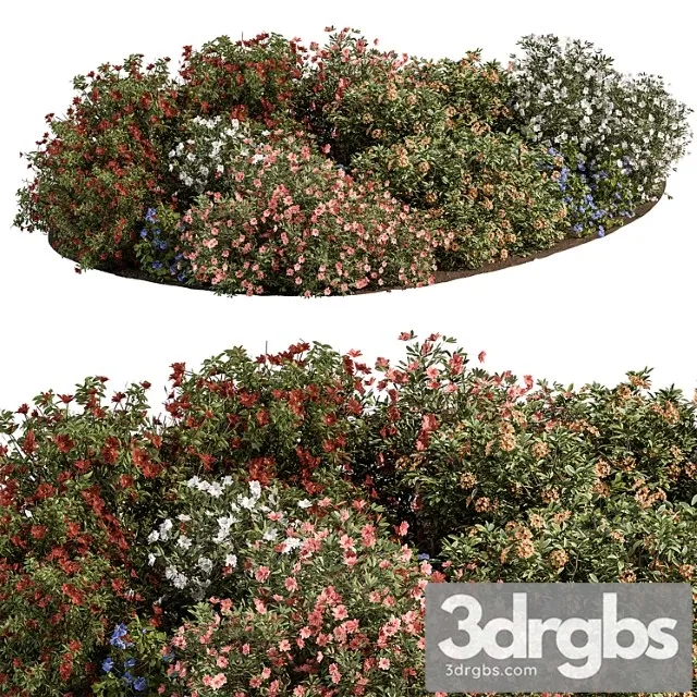 Garden Colorful Flower Bush Set 452 3dsmax Download