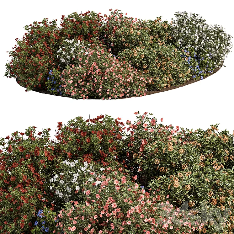 Garden colorful Flower Bush – Set 452 3DS Max Model