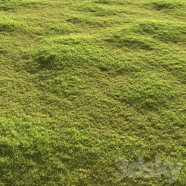 Garden grass 3ds Max