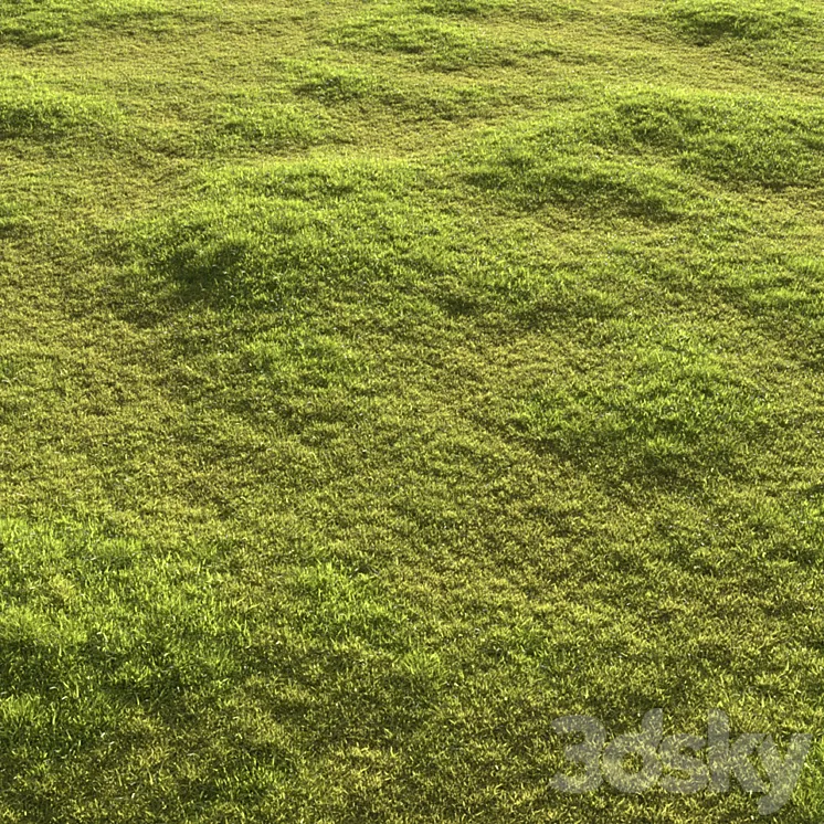 Garden grass 3DS Max Model