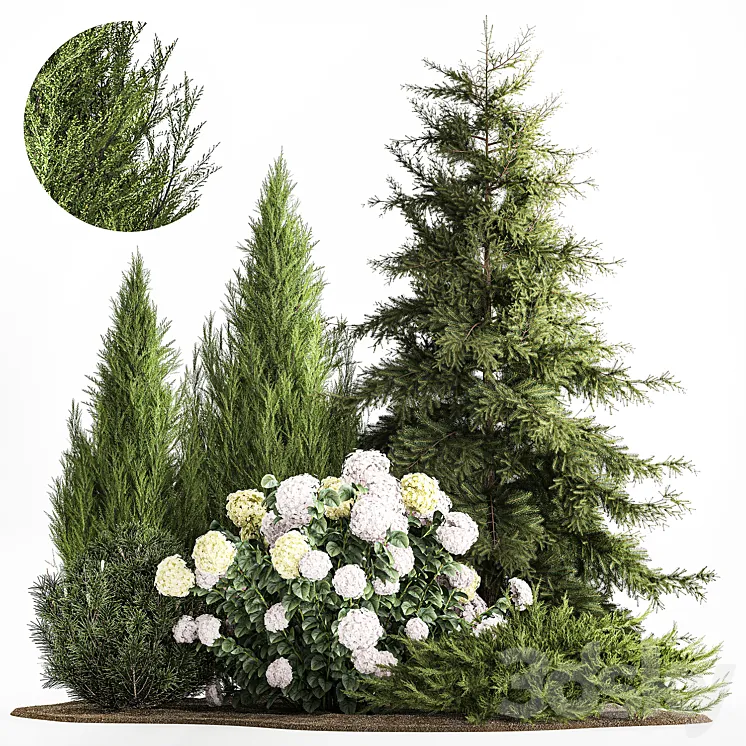 Garden of spruce pine topiary white hydrangea bush flowers juniper alpine hill. Plant set 1181 3DS Max