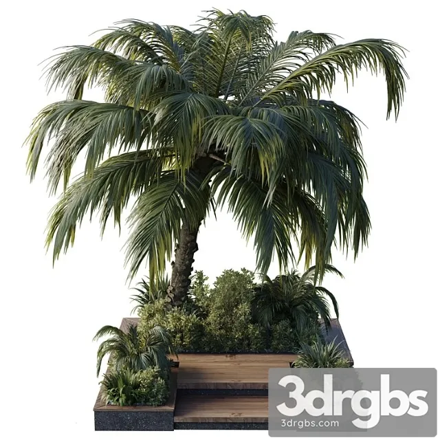 Garden Pot Tree Palm Bush Fern Grass Concrete Base Collection Outdoor Plant 102 3dsmax Download