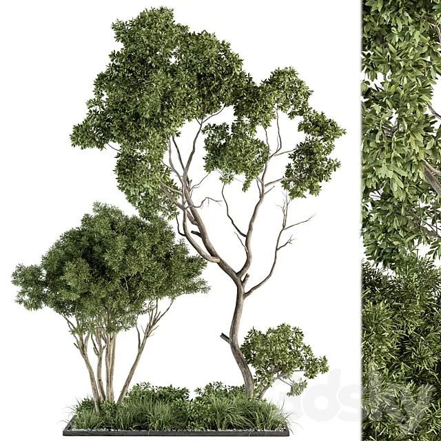 Garden Set Broadleaf Tree – Outdoor Plants Set 360 3DSMax File