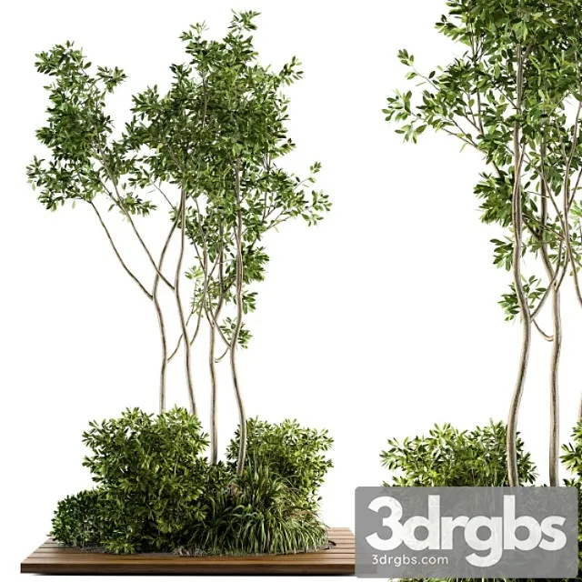 Garden set bush and tree – garden set 04