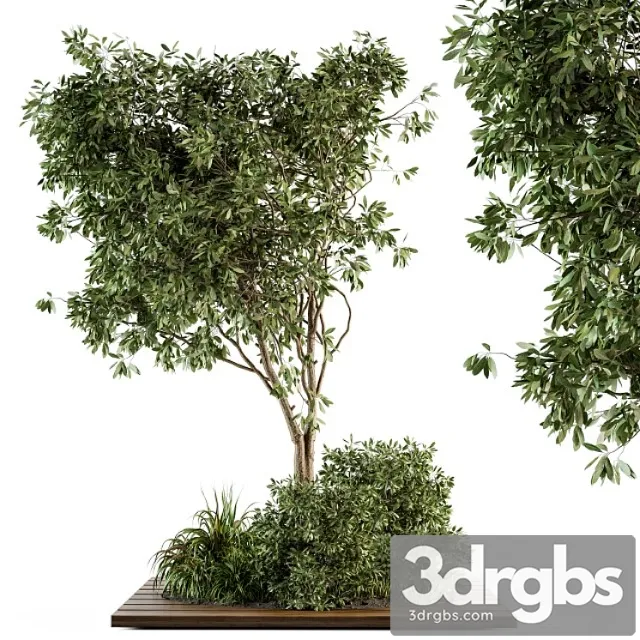 Garden set bush and tree – garden set 05