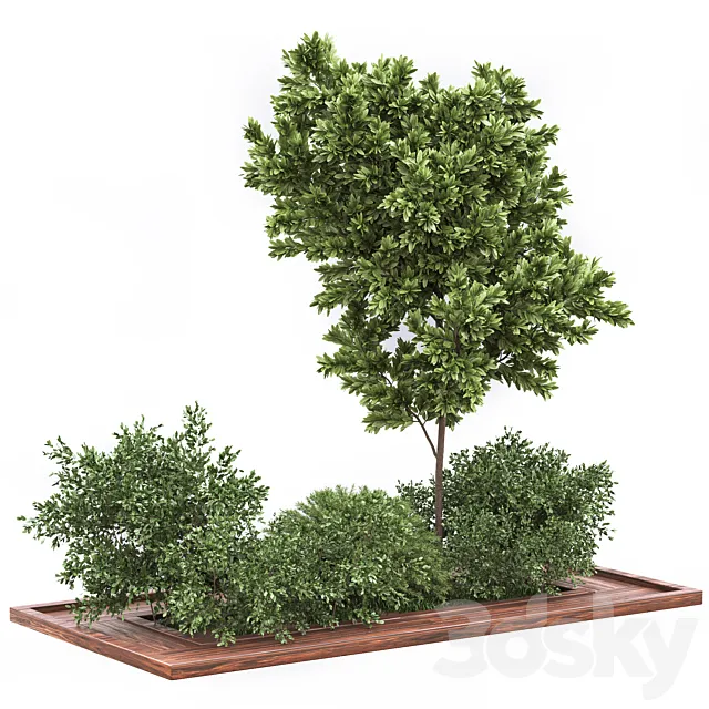 Garden set bush and Tree_Set01 3DS Max Model