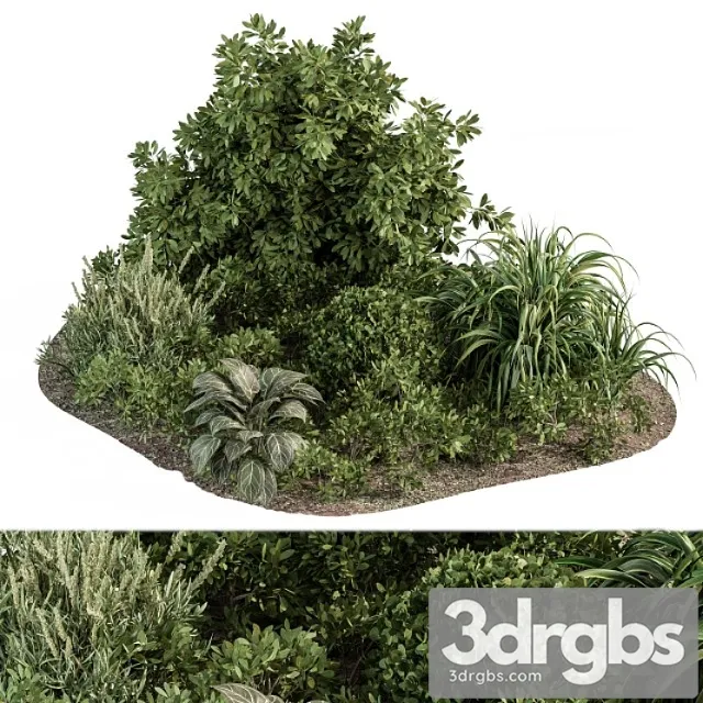 Garden set ivy and bush – garden set 20