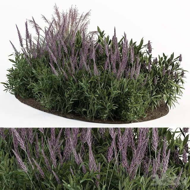 Garden set lavender Bush Plants 3dsMax Model