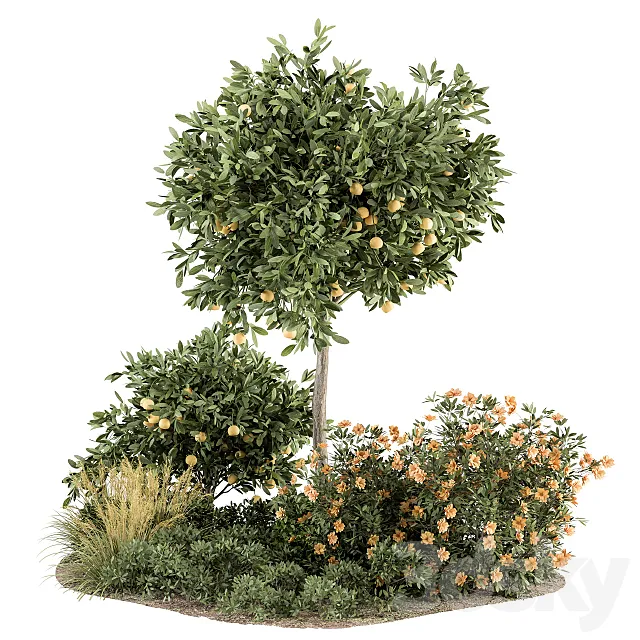 Garden set Lemon tree and Bush – Garden Set 26 3DSMax File