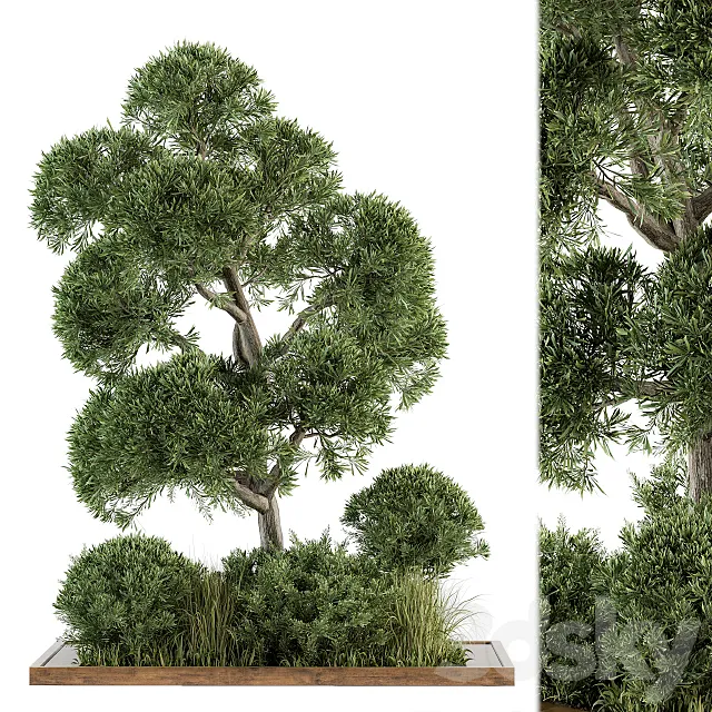 Garden set Tree and Bush – Garden Set 16 3DSMax File