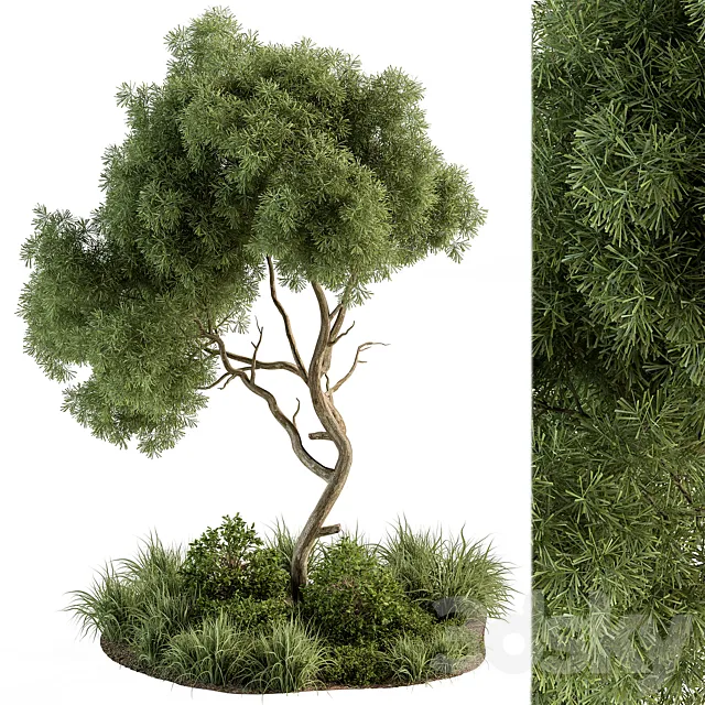 Garden Set Tree and Plants – Outdoor Plants Set 399 3DSMax File