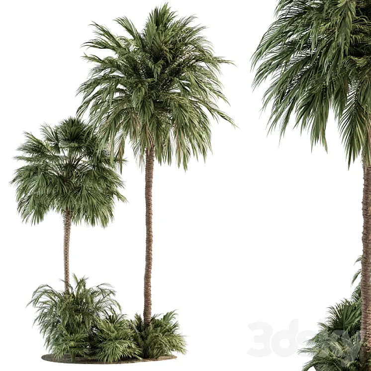 Garden set Tropical Plants – Garden Set 28 3DS Max Model