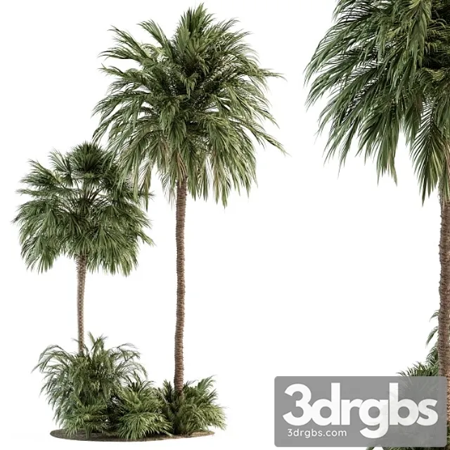 Garden set tropical plants – garden set 28