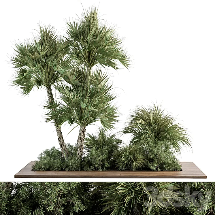 Garden Set Tropical Plants – Outdoor Plants Set 369 3DS Max Model
