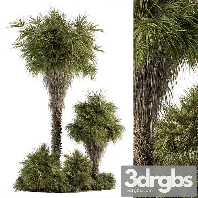 Garden set tropical plants tall palm tree – outdoor plants set 428