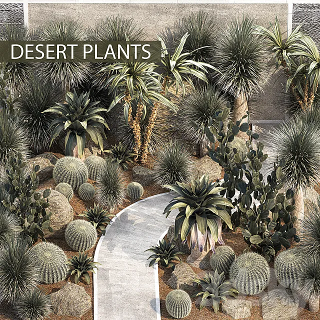 Garden with desert plants cacti Yucca and Bromeliad Dracaena and Opuntia garden cactus. Plant collection 1214 3ds Max