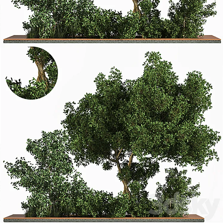 Garden_set_Grass _ & _ Tree 3DS Max Model