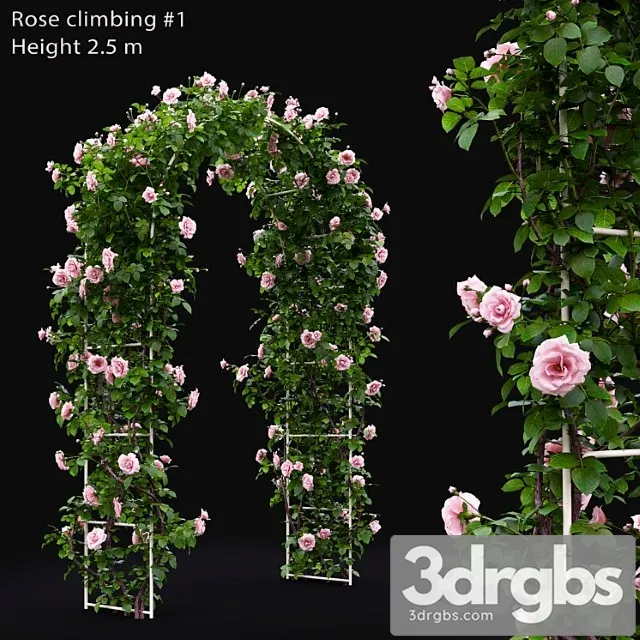Gate Rose 26 3dsmax Download