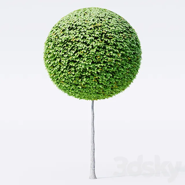 Geometric topiary trees 3DS Max Model